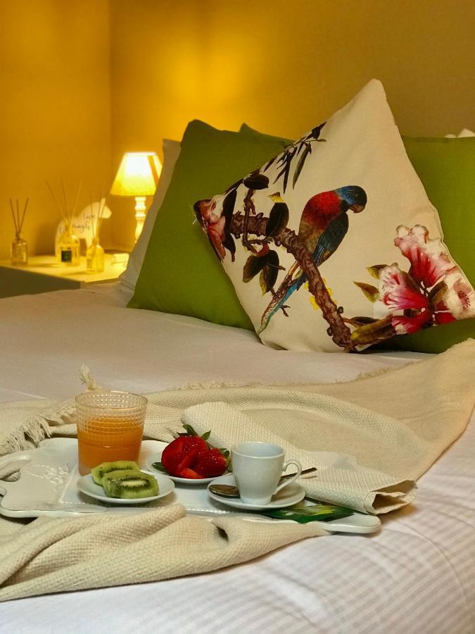 Sonnino Suite 佛罗伦萨 外观 照片
